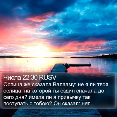 Числа 22:30 RUSV Bible Verse Image