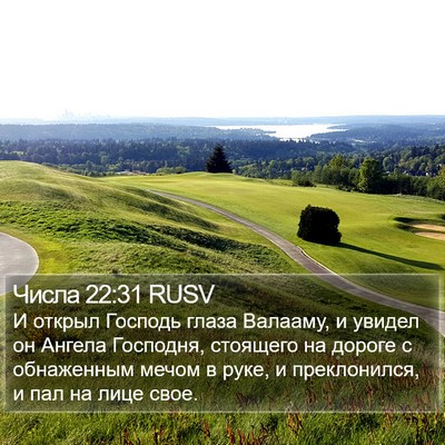 Числа 22:31 RUSV Bible Verse Image