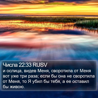 Числа 22:33 RUSV Bible Verse Image