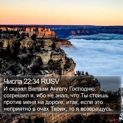 Числа 22:34 RUSV Bible Verse Image