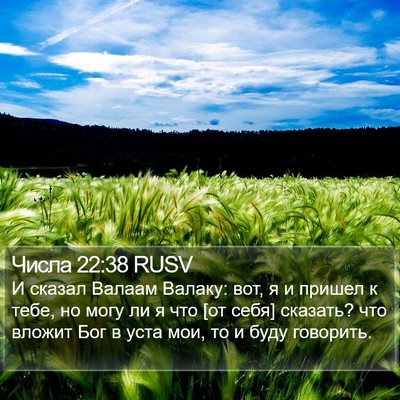 Числа 22:38 RUSV Bible Verse Image