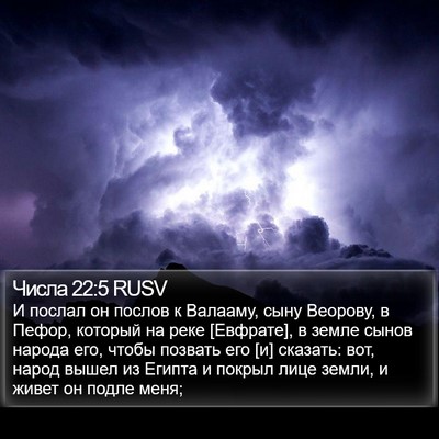 Числа 22:5 RUSV Bible Verse Image
