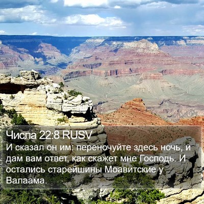 Числа 22:8 RUSV Bible Verse Image