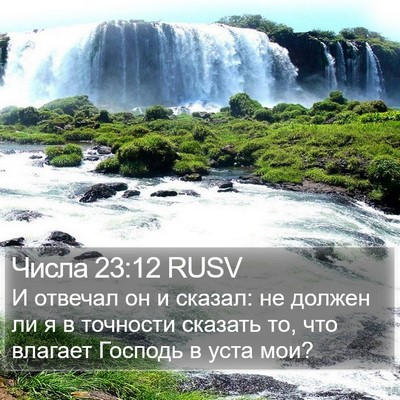 Числа 23:12 RUSV Bible Verse Image