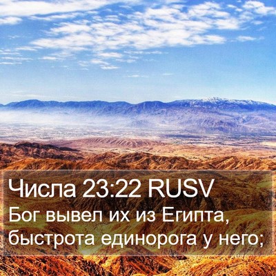 Числа 23:22 RUSV Bible Verse Image