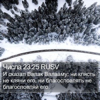 Числа 23:25 RUSV Bible Verse Image