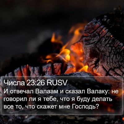 Числа 23:26 RUSV Bible Verse Image