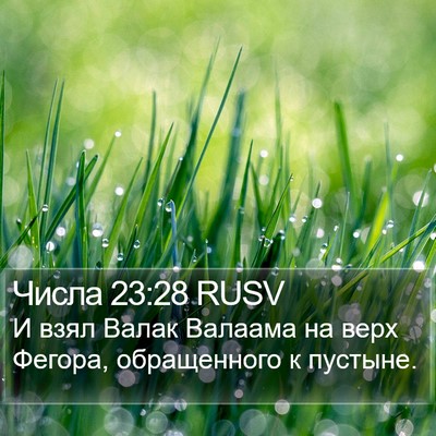 Числа 23:28 RUSV Bible Verse Image