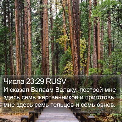 Числа 23:29 RUSV Bible Verse Image