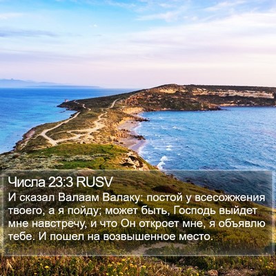 Числа 23:3 RUSV Bible Verse Image