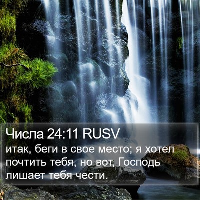 Числа 24:11 RUSV Bible Verse Image