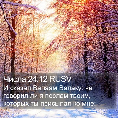 Числа 24:12 RUSV Bible Verse Image
