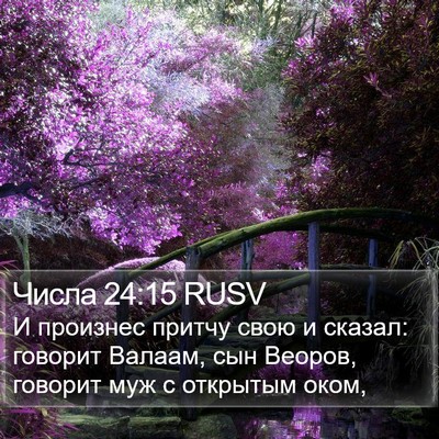 Числа 24:15 RUSV Bible Verse Image