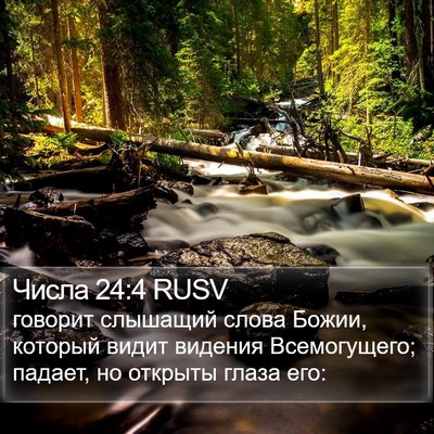 Числа 24:4 RUSV Bible Verse Image