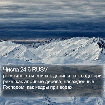 Числа 24:6 RUSV Bible Verse Image