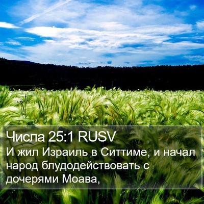 Числа 25:1 RUSV Bible Verse Image