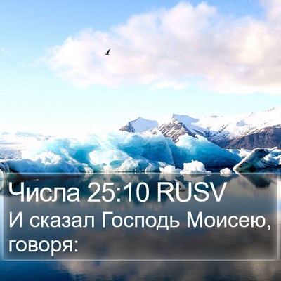 Числа 25:10 RUSV Bible Verse Image