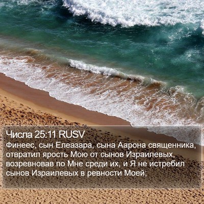 Числа 25:11 RUSV Bible Verse Image