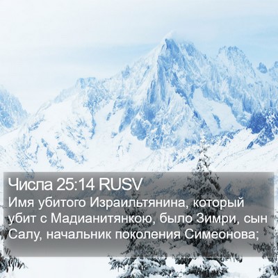 Числа 25:14 RUSV Bible Verse Image