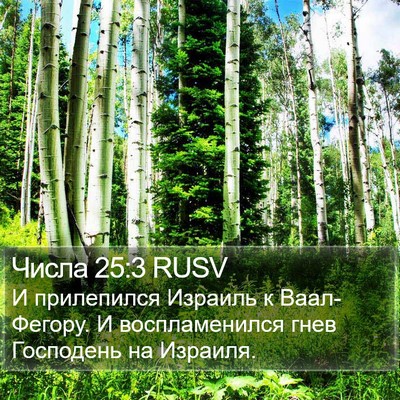 Числа 25:3 RUSV Bible Verse Image