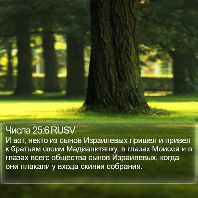 Числа 25:6 RUSV Bible Verse Image