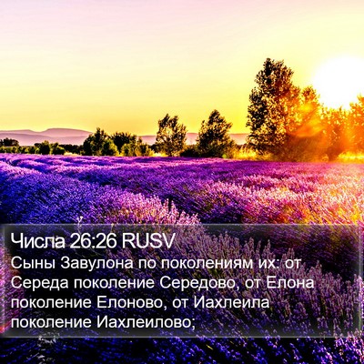 Числа 26:26 RUSV Bible Verse Image
