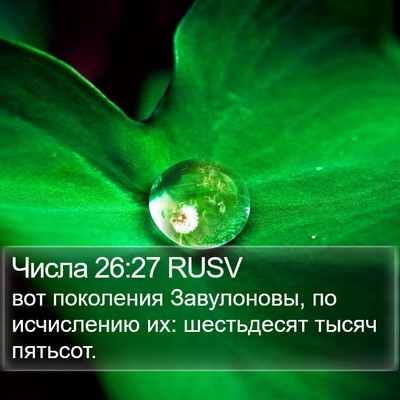 Числа 26:27 RUSV Bible Verse Image