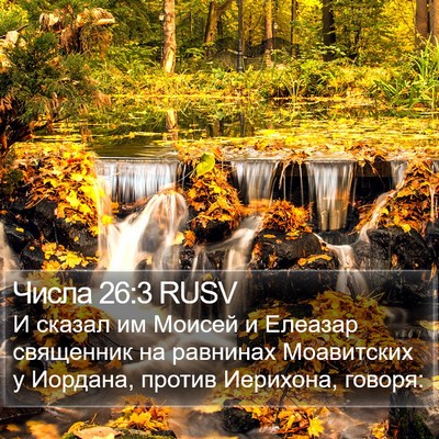 Числа 26:3 RUSV Bible Verse Image