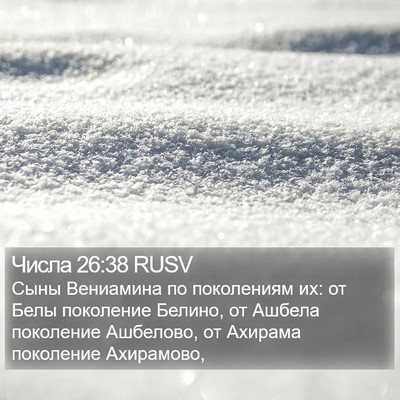 Числа 26:38 RUSV Bible Verse Image