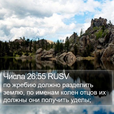 Числа 26:55 RUSV Bible Verse Image