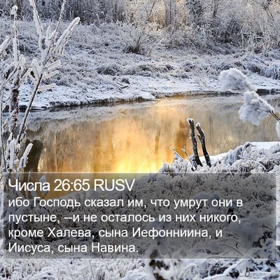 Числа 26:65 RUSV Bible Verse Image