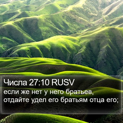 Числа 27:10 RUSV Bible Verse Image