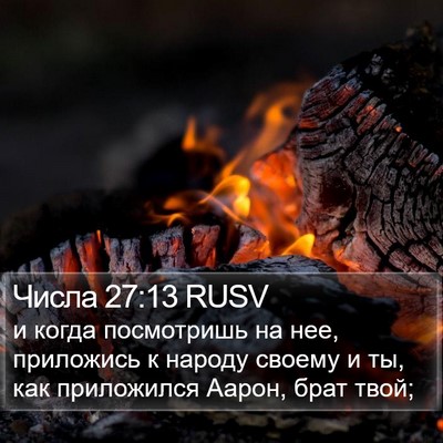 Числа 27:13 RUSV Bible Verse Image