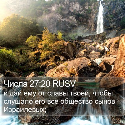 Числа 27:20 RUSV Bible Verse Image