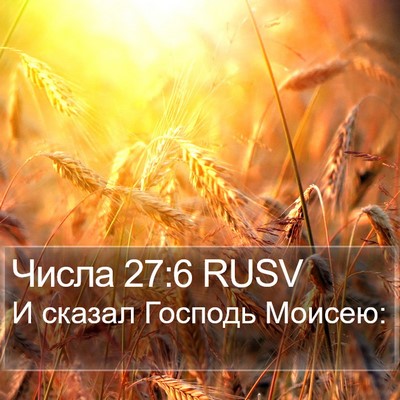 Числа 27:6 RUSV Bible Verse Image