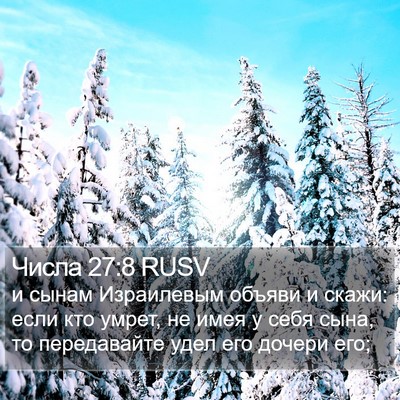 Числа 27:8 RUSV Bible Verse Image