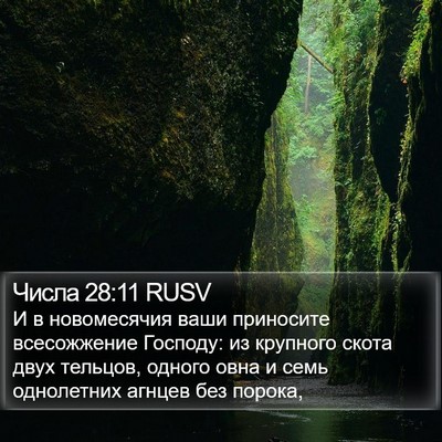 Числа 28:11 RUSV Bible Verse Image