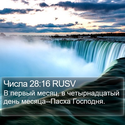 Числа 28:16 RUSV Bible Verse Image