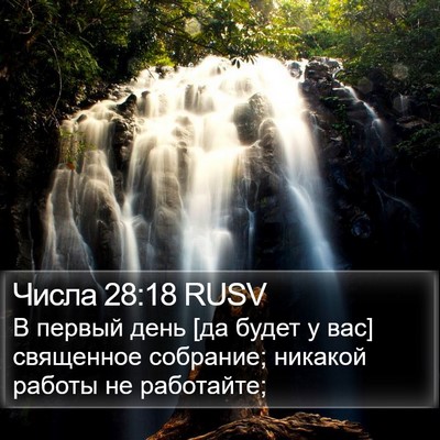 Числа 28:18 RUSV Bible Verse Image