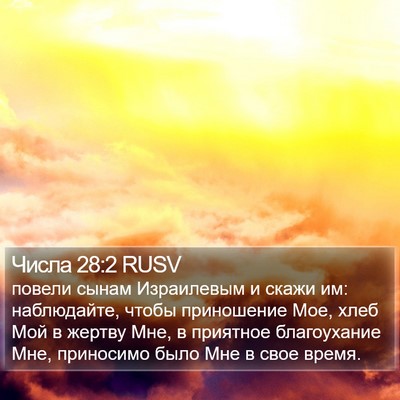 Числа 28:2 RUSV Bible Verse Image