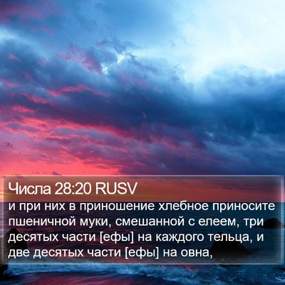 Числа 28:20 RUSV Bible Verse Image