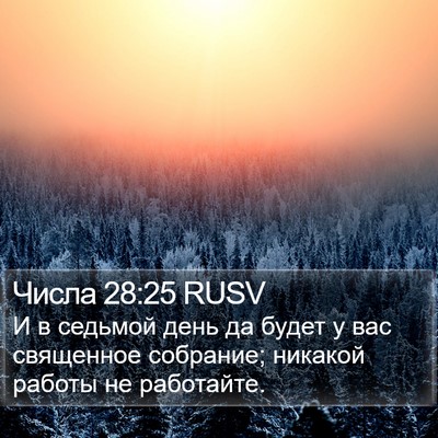 Числа 28:25 RUSV Bible Verse Image