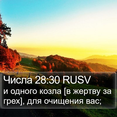 Числа 28:30 RUSV Bible Verse Image