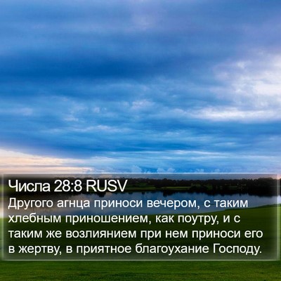 Числа 28:8 RUSV Bible Verse Image