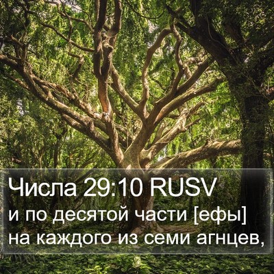 Числа 29:10 RUSV Bible Verse Image
