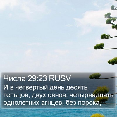 Числа 29:23 RUSV Bible Verse Image