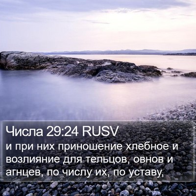 Числа 29:24 RUSV Bible Verse Image