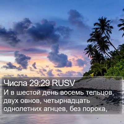 Числа 29:29 RUSV Bible Verse Image