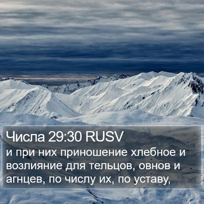 Числа 29:30 RUSV Bible Verse Image
