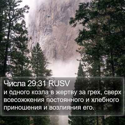 Числа 29:31 RUSV Bible Verse Image